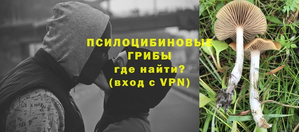 гидропоника Верхний Тагил