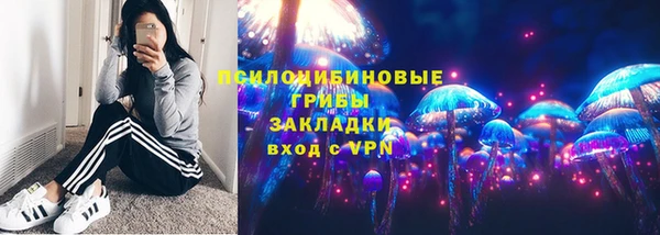 mdma Богородицк