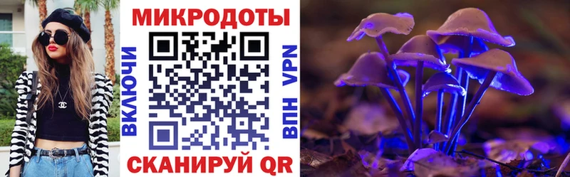 Галлюциногенные грибы Cubensis Добрянка