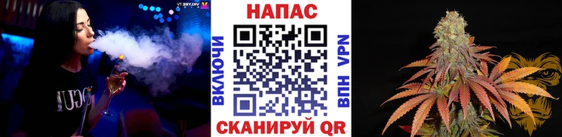 Каннабис гибрид  Добрянка 